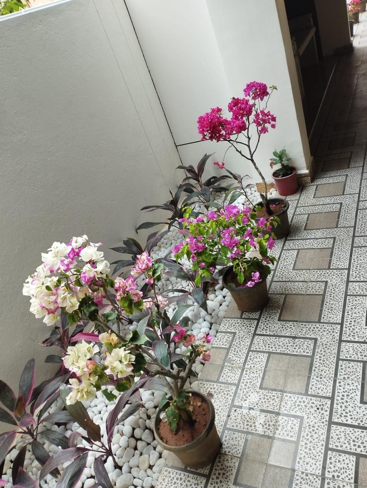 ホテル Annai Residency ヴェールール エクステリア 写真