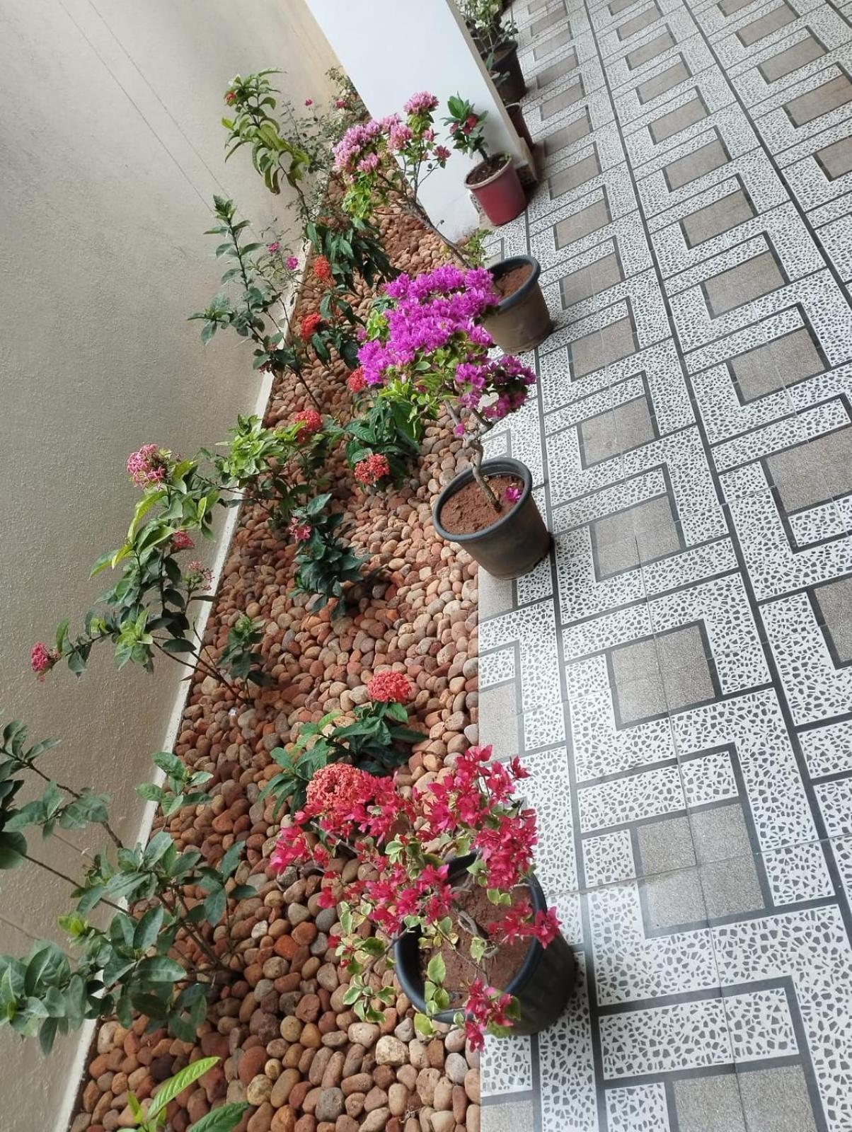 ホテル Annai Residency ヴェールール エクステリア 写真
